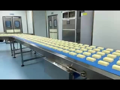 Metalldetektor für Verpackungsgeräte / Metalldetektor für Lebensmittel- und Verpackungsindustrie