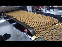 Die bevorzugte Förderband Lebensmittel Metalldetektor Metalldetektor Maschine für die Fabrik