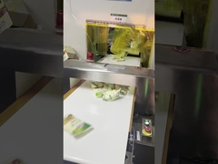 Automatischer Metalldetektor Lebensmittelsicherheit für Paketlinien, 300*150mm Tunnelgröße