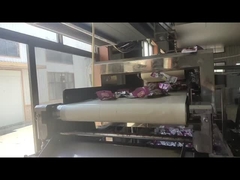 Anpassbarer Metalldetektor für die Objektkontrolle