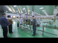 Lebensmittel-Röntgenprüfmaschine für die Industrie