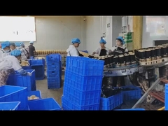 Vollständige Struktur von Edelstahl 304 Lebensmittelmetalldetektor mit digitaler Signalverarbeitung und OEM