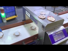 Automatisches Fördergerät Industrielle Lebensmittel Metalldetektor Sicherheitsausrüstung Maschine Customized OEM