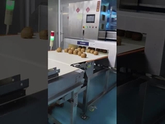 Automatischer Förderer Metalldetektor 0,5 mm Empfindlichkeit Lebensmittel / Kosmetik Rohstoff Inspektion