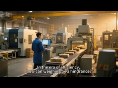 Automatische Prüfeinheit Erreichen Sie eine präzise Gewichtsmessung und steigern Sie Ihre Produktionsleistung