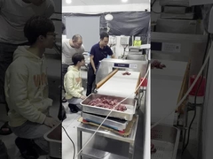 Nahrungsmittelgrad-Metalldetektor