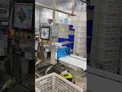 Röntgenprüfmaschine für nasse trockene Lebensmittel Produkte für die Industrie