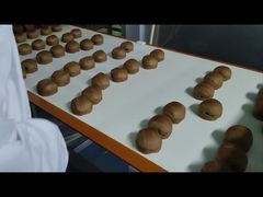 0.01g Auflösung Metalldetektor für die Lebensmittelverarbeitung schützt Ihre Produkte vor Metallkontamination