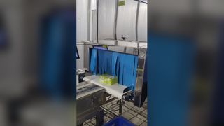 Industrielles Lebensmittel-Röntgeninspektionssystem von SHANAN